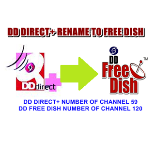 DD DISH
